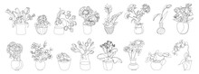 Collection Of Hand Drawn Outline Garden Flowers In Vases And Pots. One Line Art Design. Beautiful Blooming Elegant Set Of Drawing Floral Elements Isolated On White Background