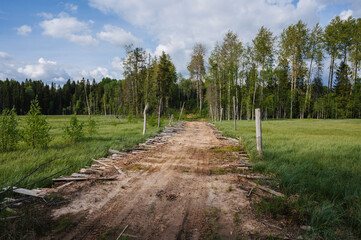 Wall Mural - rural road in middle of large swamp with grass on cloudy summer day in Russia