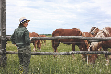 Wall Mural - Beautiful woman looking and makimg photo of heavy draft horse, horses with foals grazing in a meadow. A beautiful animal in the field in summer. A herd of horses in nature. Using technology