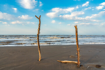 Wall Mural - Old snag on the sea shore