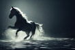 Beautiful Black horse galloping in a river landscape. BW Animal portrait.