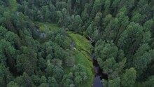 Top View Of A Winding, Narrow And Shallow Forest River Flowing Between Swampy Banks.