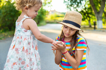 Canvas Print - The child is playing with the frog. Selective focus.