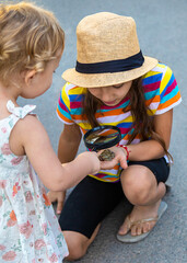 Canvas Print - The child is playing with the frog. Selective focus.