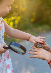 Canvas Print - The child is playing with the frog. Selective focus.