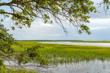 Wall Mural - Low Country River with Marsh View