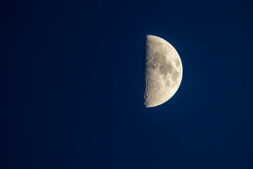 Wall Mural - half moon in the sky with the craters visible at night sky during september north america. first qua