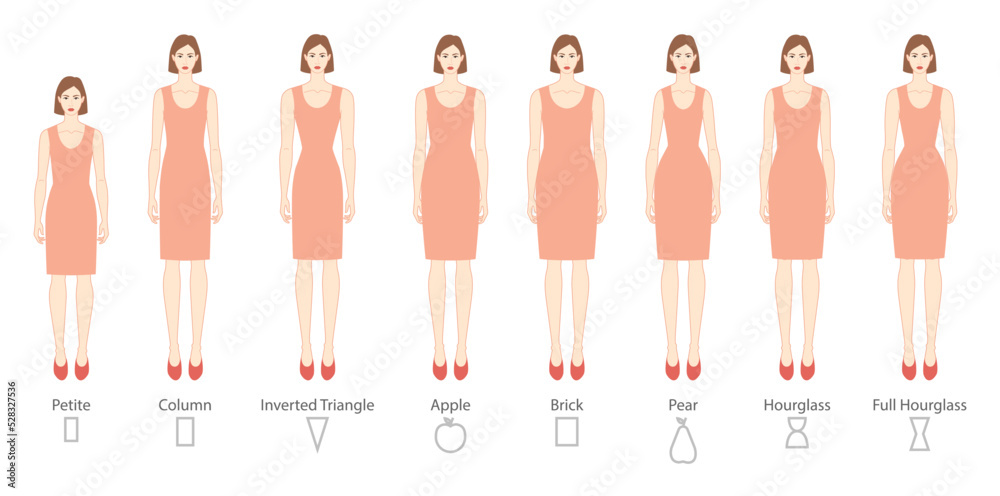 Set of Women body shape types: apple, pear, column, brick, hourglass ...