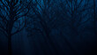 © RocknRoller Studios - Haunted Halloween Woodland Scene at Night.