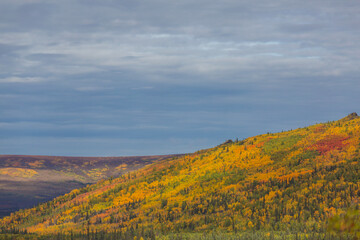 Sticker - Autumn mountains