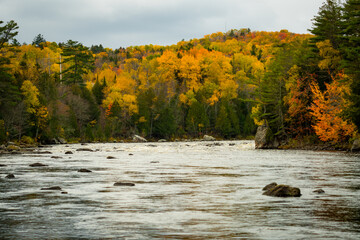 Wall Mural - Autumn Colors Brighten up the Shore