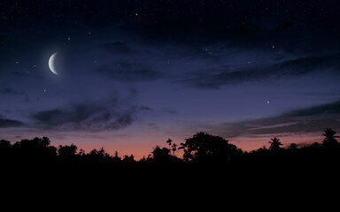 Wall Mural - beautiful night landscape