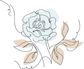 Wall Mural - hand drawn illustration of rose