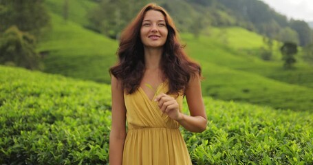 Wall Mural - Traveler Woman With Tea Leaf in Hand During Her Travel to Famous