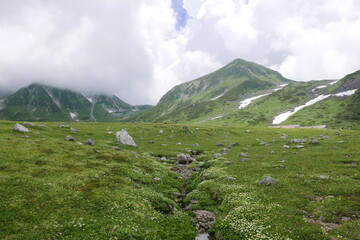 Murodo is at 2,500 m, this is the highest point on the Tateyama Kurobe Alpine Route. There are many places that you can take a walk to, such as Mikurigaike.