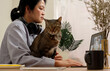 © weedezign - asian woman video conference  with colleague online with tablet and hug her cat at home