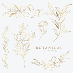 Wall Mural - Botanical Illustrations Leaf Flower Gold Line Art