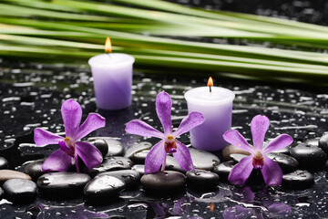 Wall Mural - spa still life of with  orchid and 
and zen black stones with b green palm ,wet background
