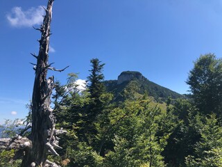 Sticker - Wanderung Zauchensee