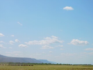 Beautiful scenery of a large green field under a clear blue sky with small clouds on a sunny day