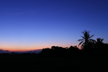 Wall Mural - beautiful twilight line of evening sky sunset light and silhouette, shadow darkness coconut tree, na