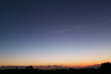 Wall Mural - twilight line of evening sky sunset light and silhouette, shadow darkness meadow, tree, beautiful na