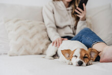 Woman Stroking Dog Using Phone Sitting On Bed At Home