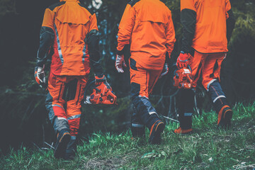 Wall Mural - Men walking in the forest holding a chainsaw and garden tools. Lumberjacks at work wears orange personal protective equipment. Gardeners working outdoor in the forest. Security forestry worker concept