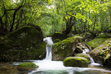 waterfall in the forest