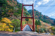 安居渓谷の紅葉と吊り橋
