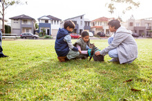 Two Boys And One Girl Wearing Sweater Sitting On A Big Lawn While Playing With The Grey Cat