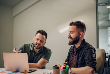 Wall Mural - Two male colleagues having a meeting in an office and using a laptop