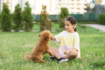 Wall Mural - Little girl with a maltese puppy, outdoor summer.