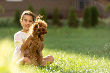 Wall Mural - Little girl with a maltese puppy, outdoor summer.