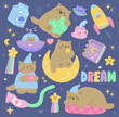 Set of colorful cute good night vector elements. Cartoon cats, stars, rockets and rainbows in outer space.Clipart for patches,stickers,greeting card,planner or diary. Isolated.