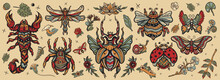 Old School Tattoo Collection. Insects. Stag Beetle, Bee, Bumblebee, Butterfly, Snail, Scorpion, Ladybug, Spider, Dragonfly. Traditional Tattooing Style