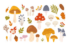 Set Of Different Mushrooms With Berries And Leaves Of Trees. Vector Flat Illustration In Hand Drawn Style On White Background