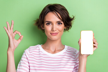 Closeup photo of young confident smiling cute woman wear pink t-shirt showing screen with new shopping app okey sign isolated on green color background