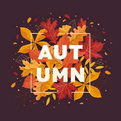 Wall Mural - Autumn seasonal banner, postcard. Bright background frame with colorful autumn leaves of oak, maple, chestnut. Autumn mood. Flat style. Vector illustration