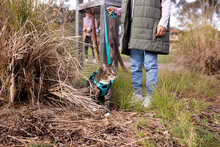 Young Person Holding A Leash Of A Cat On A Field With Dead Grass