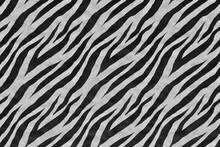 Clean And Realistic Zebra Skin Texture Background