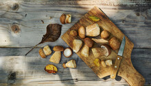 Fresh Forest Mushrooms Boletus, King Bolete, Penny Bun, Cep, Porcini, Mushroom On Old Wooden Board, Dark Brown Table Background, Top View