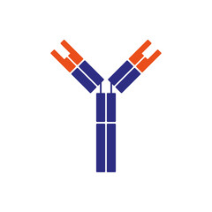 Illustration of antibody with epitope binding site