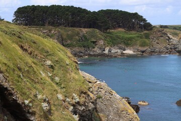 Poster - The island Belle Ile in Brittany 