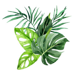 Wall Mural - watercolor drawing. composition, bouquet of tropical palm leaves, monstera, banana. rain forest green leaves