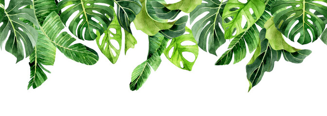 Wall Mural - watercolor seamless border, tropical leaves banner. green leaves of palm, monstera, banana. frame