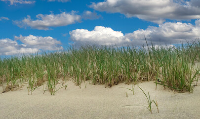 Cape Cod National Seashore Blue Sky and Sunny Day