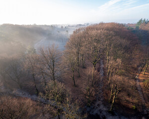 Wall Mural - mist at sunrise in forest near doorn and utrecht on winter morning in the netherlands