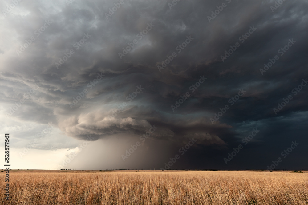 Supercell storm clouds over a wheat field Stock Photo | Adobe Stock
