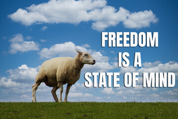 Freedom is a state of mind - inspirational quote for T-Shirt, postcard, social media etc.
